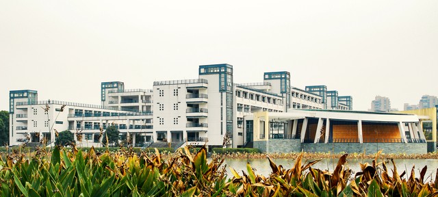 网上怎么找老同学 (找老同学上哪个网)