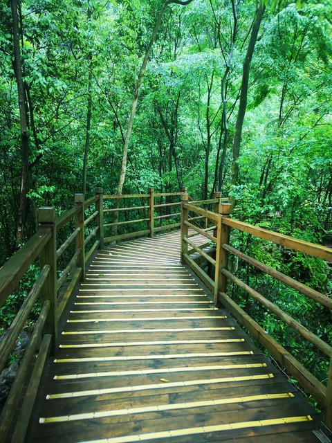 腾讯朋友网停了怎么找同学 (腾讯朋友网停用了怎么找人)