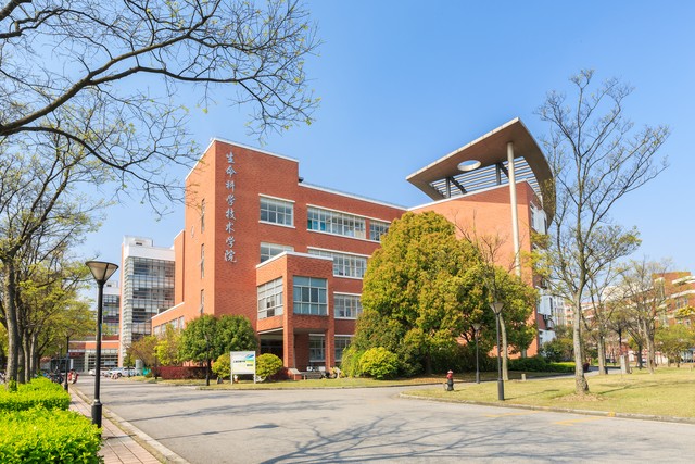 网上怎么找老同学 (找老同学上哪个网)