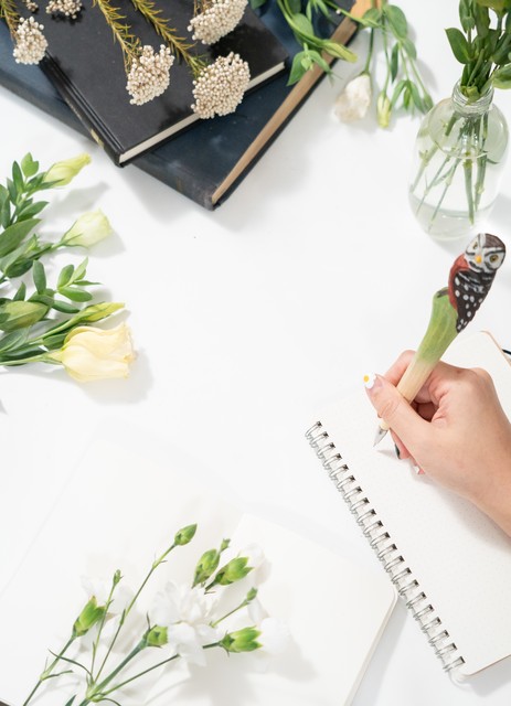 腾讯朋友网停了怎么找同学 (腾讯朋友网停用了怎么找人)