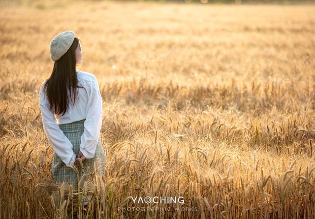 网上怎么找老同学 (找老同学上哪个网)